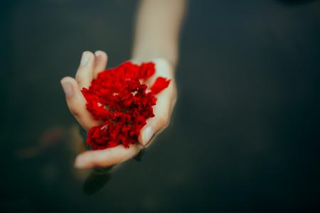 手心里的红花