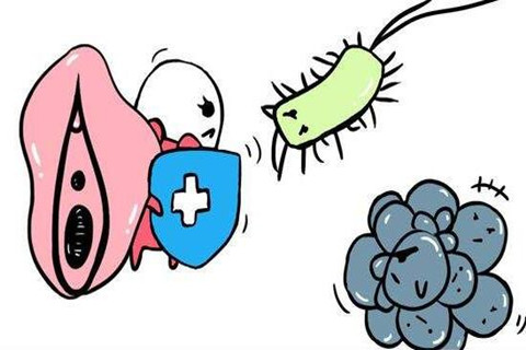 小阴唇抵抗细菌入侵卡通图